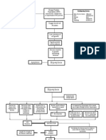 5989691-Pathophysiology-BPH-case-study.doc