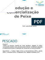 Produção e importância do peixe no Brasil