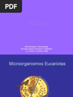 Download Reino Fungi by Joaquin SN16077381 doc pdf