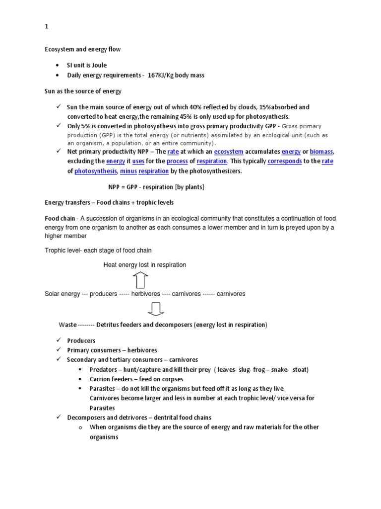 Ecosystem Energy Flow Dynamics | PDF | Food Web | Ecosystem