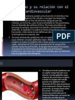 El Oxigeno y Su Relación Con El Sistema