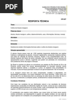Cultivo de Acácia.pdf