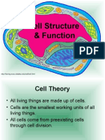 cell structure function