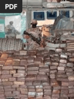 O PROTOCOLO DA CALIFORNIA