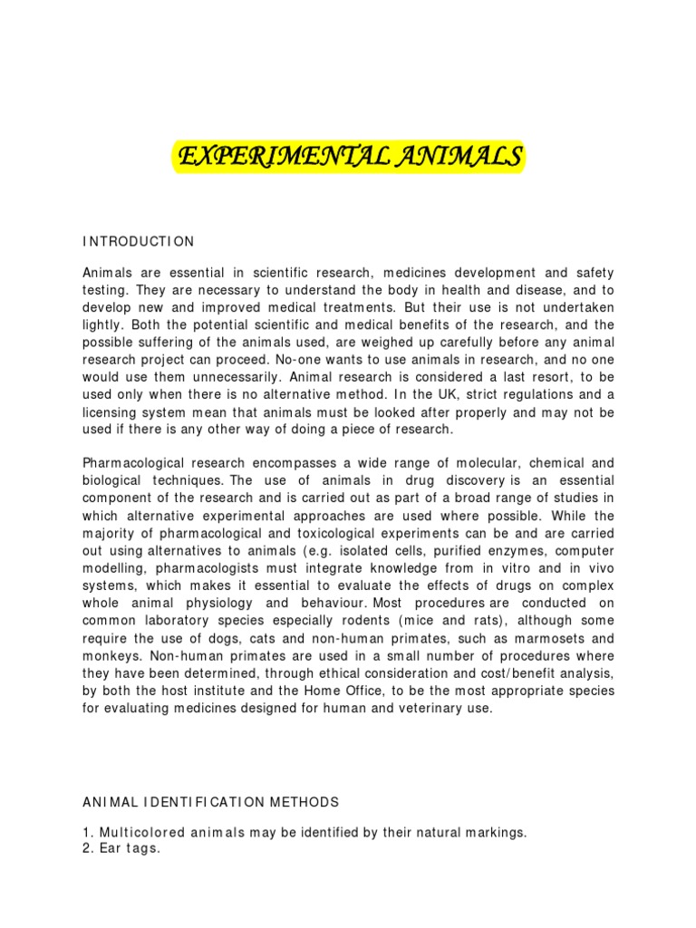 Animal Handling PDF Animal Testing Pharmacology