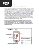 Closed Circulatory System