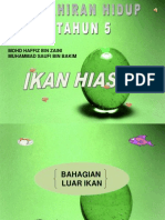 Muhammad Saufi Power Point Ikan Hiasan