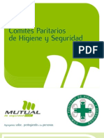 Formatos de Actas de Comite de Ss