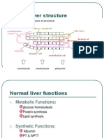 Liver Function Tests and Enzymes