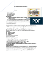 Modulo de Aprendizaje Sobre Los Ciclos Bioquimicos