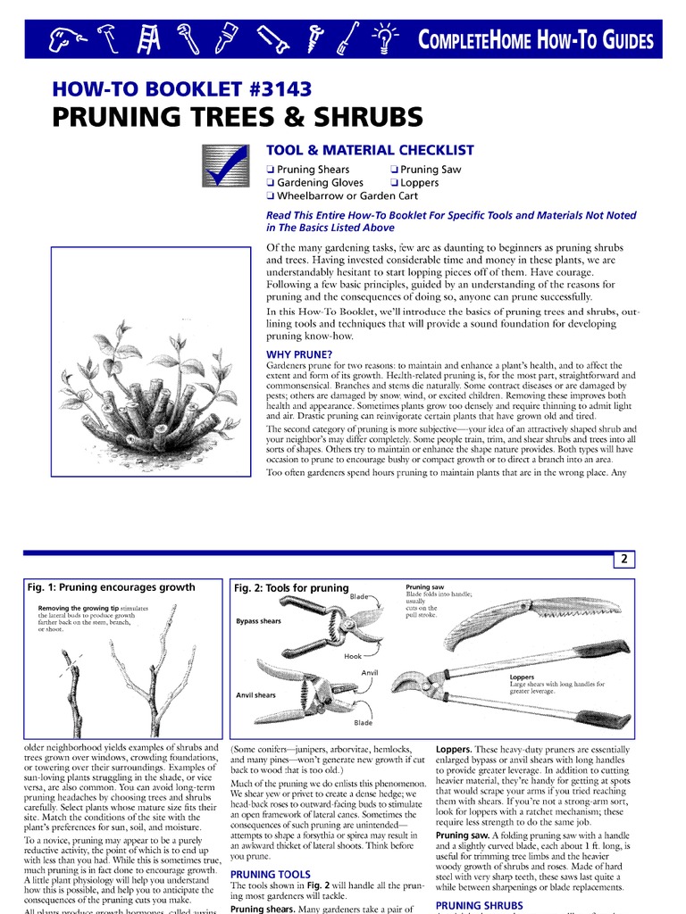 Pruning Trees and Shrubs PDF