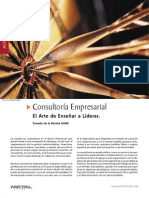 Administracion Consultoria