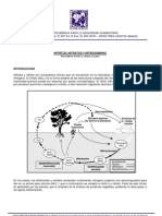 Nitratos y Nitrosaminas