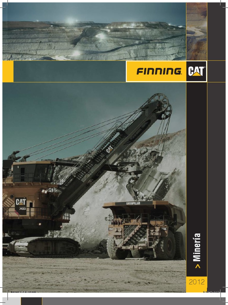 Bienvenido A Fining | PDF | Minería | Ingeniería de confiabilidad