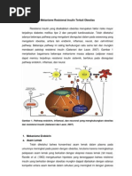 Download Mekanisme Resistensi Insulin by Shila Wisnasari SN161057180 doc pdf