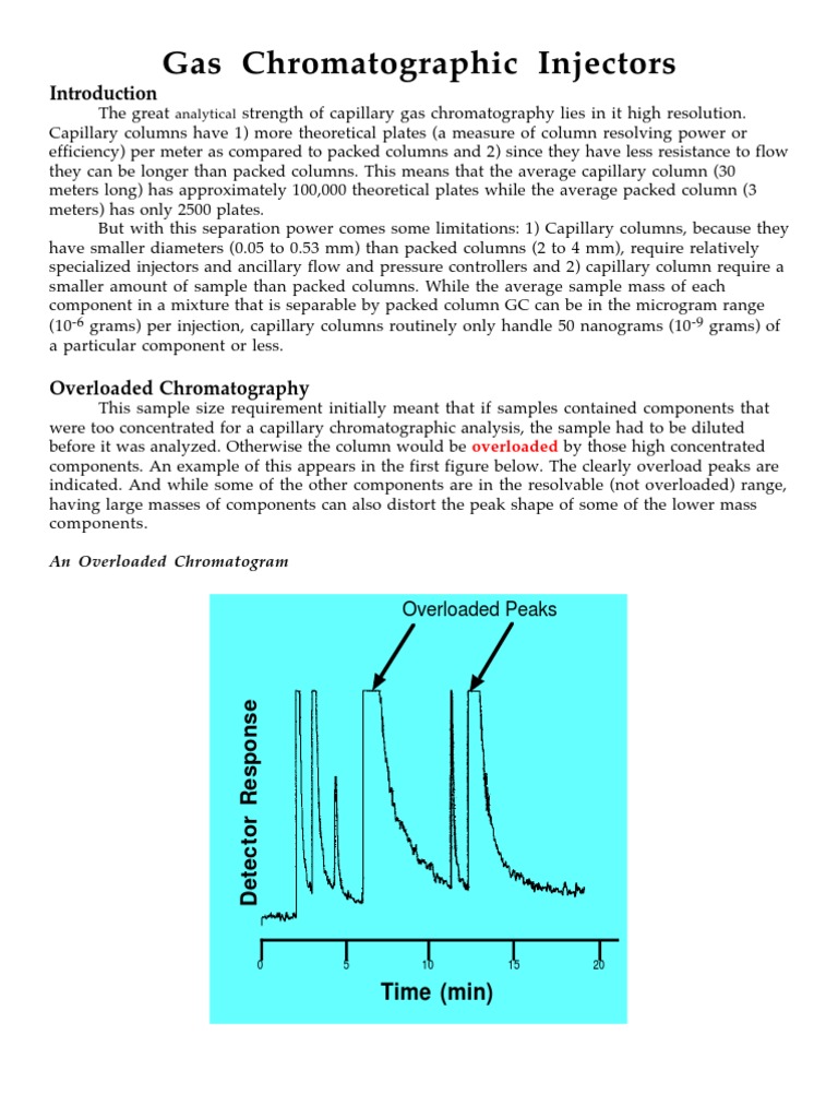 Gas Chromatographic Injectors Time (Min) PDF Gas Chromatography