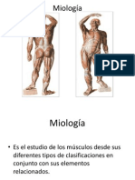 Miologia I