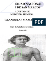 Glandula Mamaria Medicina