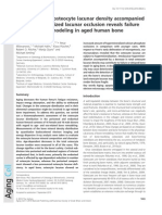 Decrease in the Osteocyte Lacunae Density Accompanied by Hypermineralized Lacunar Occlusion Reveal Failure and Delay of Remodeling in Aged Human Bone