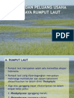 Presentasi Rumput Laut