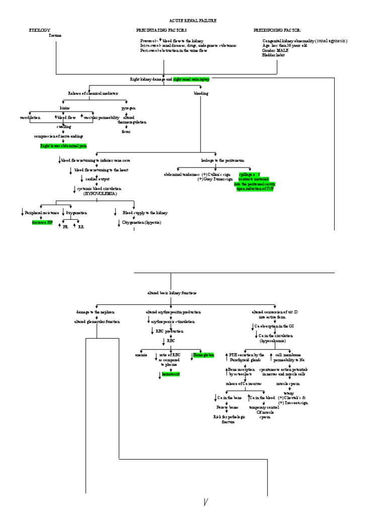 Acute Renal Failure: Causes and Effects | PDF | Kidney | Angiotensin