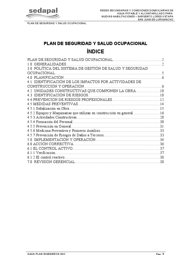Plan de Seguridad y Salud Ocupacional | PDF | Finanzas y dinero