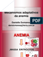 AULA Mecanismos Apaptativos Da Anemia2