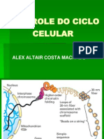 Controle Do Ciclo Celular