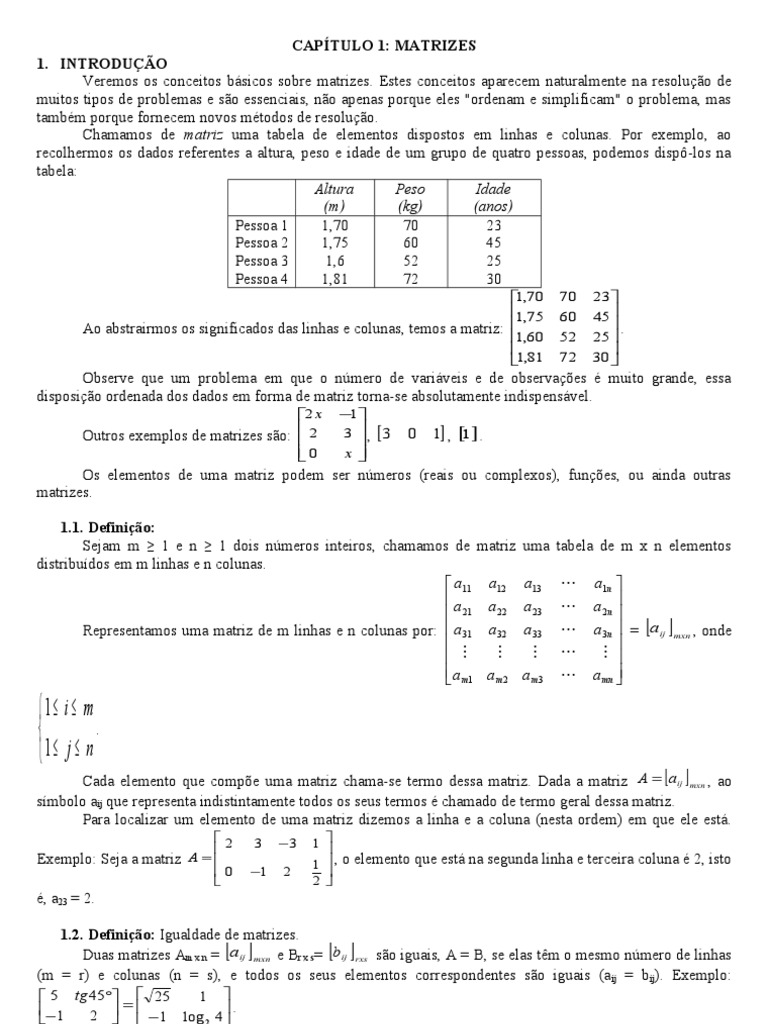 Introdução à Álgebra Matricial | PDF | Matriz (Matemática) | Álgebra linear