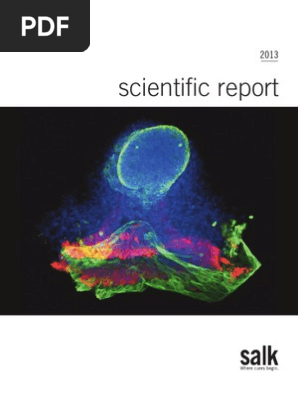 Scientific Report