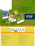 Algas de Manglar de El Salvador (Bioma)