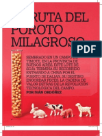 La Ruta Del Poroto Milagroso Nota - Brando