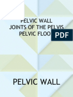 Pelvic Wall, Joints and Floor