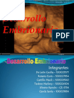 desarrollo embrionario