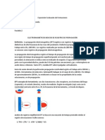 Electromagnéticos Básicos de Registro de Propagación