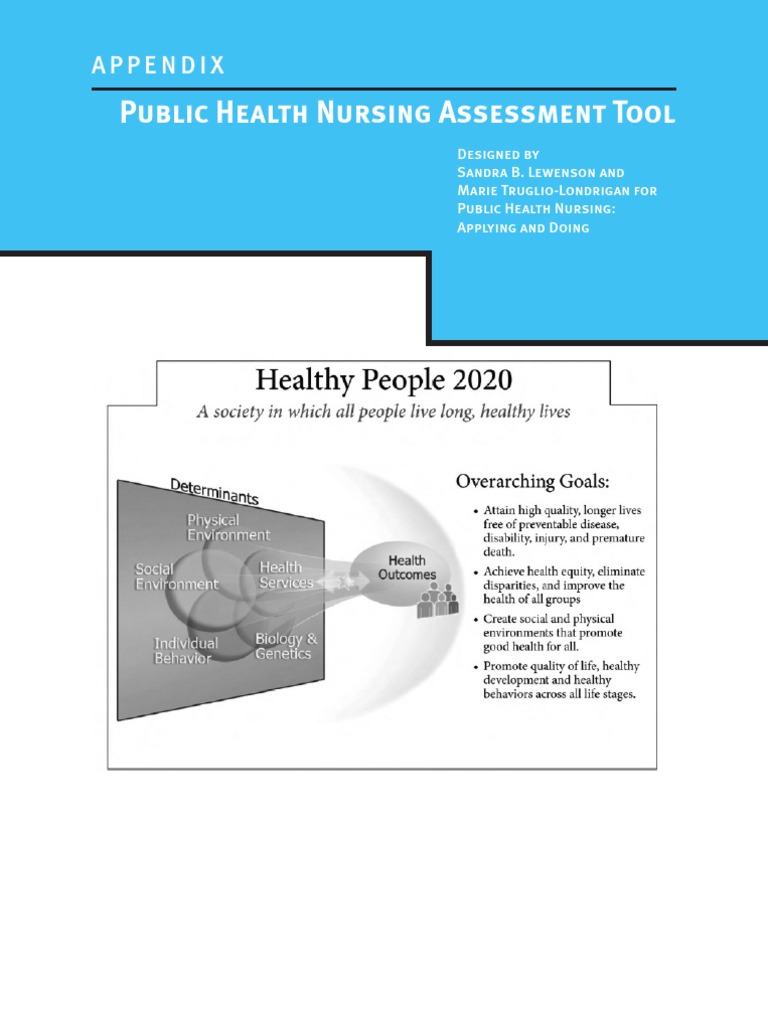 Public Health Nursing Assessment Tool | PDF | Public Health | Community