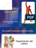 Anatomía y Fisiología