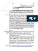 A Review of Anatomical and Mechanical Factors Affecting Vertebral Body Integrity