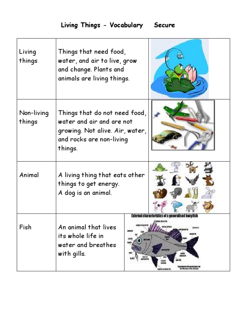 Living Things Vocabulary Pdf Predation Reptile
