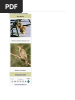Download Baya Weaver by yashvitalati6349 SN161291250 doc pdf