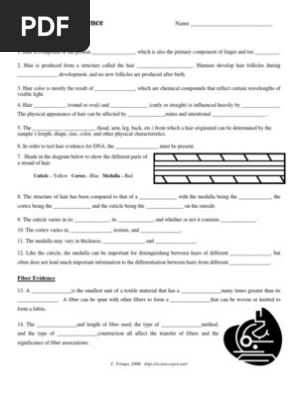 Hair Fiber Not Ew Kst Pdf Hair Fibers