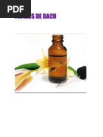 Florais de Bach_guia