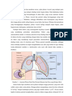 Refrat Cairan Pleura