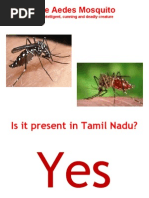 Download Dengue - Awarenessppt by Diana Arun SN161322272 doc pdf