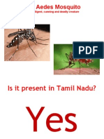Dengue - Awareness