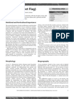 Acorales PDF