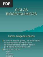 Ciclo do Nitrogênio