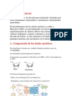 Acidos Nucleicos