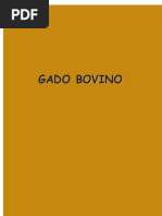 1242774071_bovinos_dinha