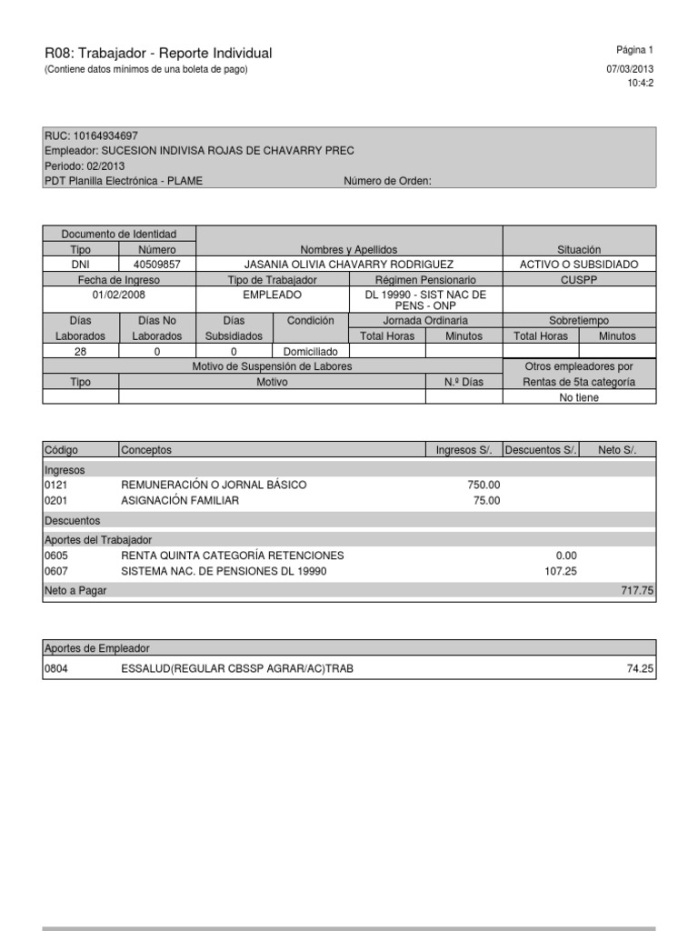 Reporte Individual R08 PLAME | PDF